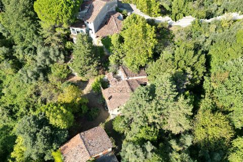 Villa i Lucca, Lucca, Lucca - € 400.000 | Ref: IA03731 - foto 5