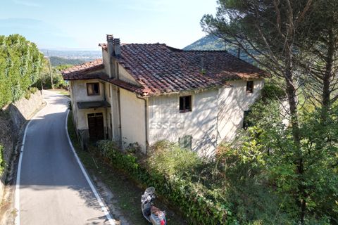Villa i Lucca, Lucca, Lucca - € 400.000 | Ref: IA03731 - foto 6