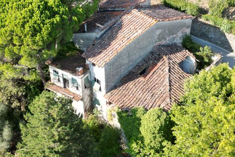 Villa i Lucca, Lucca, Lucca - € 400.000 | Ref: IA03731 - foto 7