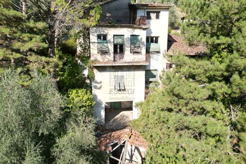 Villa i Lucca, Lucca, Lucca - € 400.000 | Ref: IA03731 - foto 9