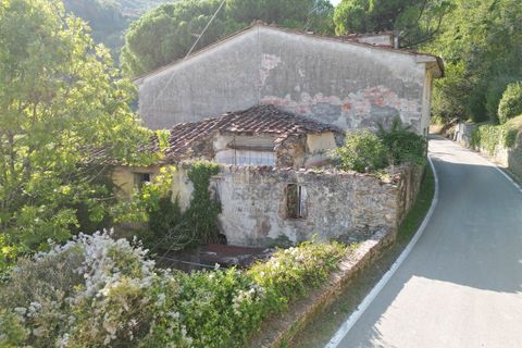 Villa i Lucca, Lucca, Lucca - € 400.000 | Ref: IA03731 - foto 11