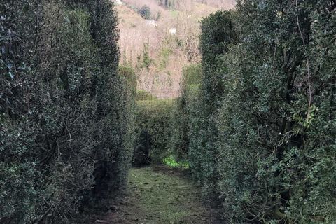 Villa i Pescaglia, Lucca, Pescaglia - € 1.550.000 | Ref: IA03805 - foto 35