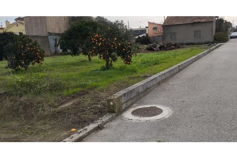 Tomt i Monte Real, Leiria, Monte Real - € 30 000 | Ref: MM126 - foto 2