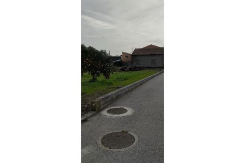 Tomt i Monte Real, Leiria, Monte Real - € 30 000 | Ref: MM126 - foto 3