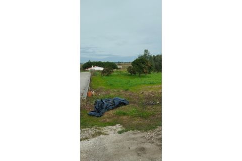 Tomt i Monte Real, Leiria, Monte Real - € 30 000 | Ref: MM126 - foto 4