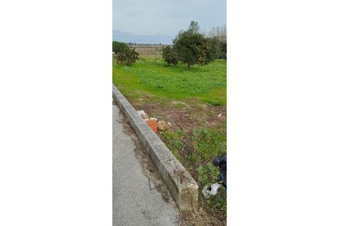 Tomt i Monte Real, Leiria, Monte Real - € 30 000 | Ref: MM126 - foto 5