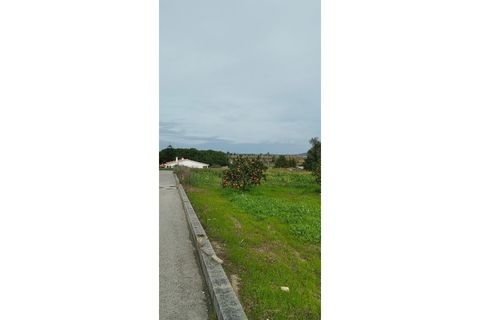 Tomt i Monte Real, Leiria, Monte Real - € 30 000 | Ref: MM126 - foto 6