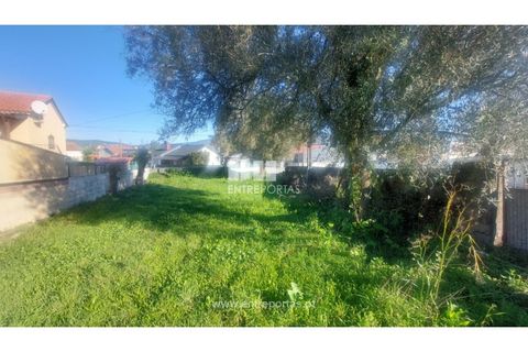 Terra a Barroselas, Viana do Castelo, Barroselas - € 70.000 | Ref: VCM14581 - foto 6