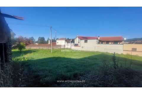 Terra a Barroselas, Viana do Castelo, Barroselas - € 70.000 | Ref: VCM14581 - foto 15