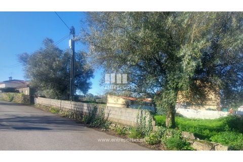 Terra a Barroselas, Viana do Castelo, Barroselas - € 70.000 | Ref: VCM14581 - foto 21