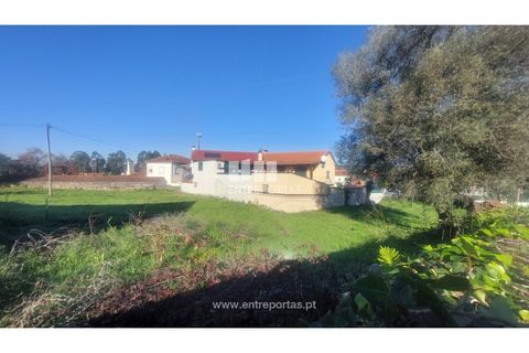 Terra a Barroselas, Viana do Castelo, Barroselas - € 70.000 | Ref: VCM14581 - foto 23