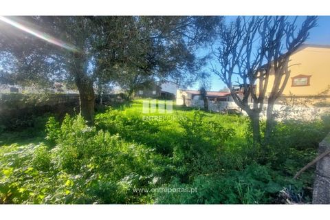 Terra a Barroselas, Viana do Castelo, Barroselas - € 70.000 | Ref: VCM14581 - foto 27
