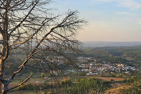 Helårsgrund i Rio Maior, Santarem, Rio Maior - € 15.000 | Ref: C0539-00005 - foto 2