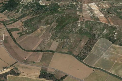 Helårsgrund i Rio Maior, Santarem, Rio Maior - € 15.000 | Ref: C0539-00005 - foto 8