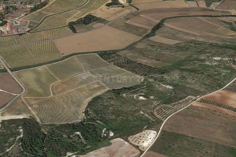 Helårsgrund i Rio Maior, Santarem, Rio Maior - € 15.000 | Ref: C0539-00005 - foto 9