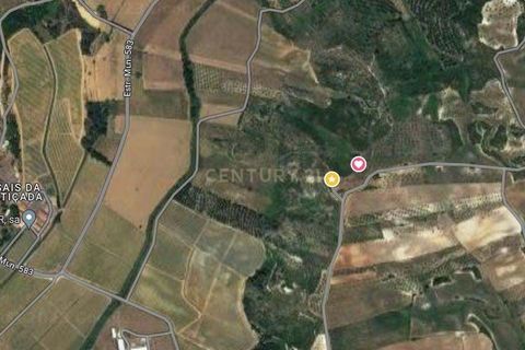 Helårsgrund i Rio Maior, Santarem, Rio Maior - € 15.000 | Ref: C0539-00005 - foto 10