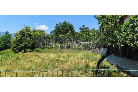Helårsgrund i Gondufe, Viana do Castelo, Gondufe - € 40.000 | Ref: TER_1120 - foto 1