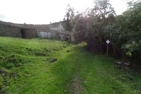 Helårsgrund i Ourique, Beja, Ourique - € 180.000 | Ref: KWPT-025459 - foto 14