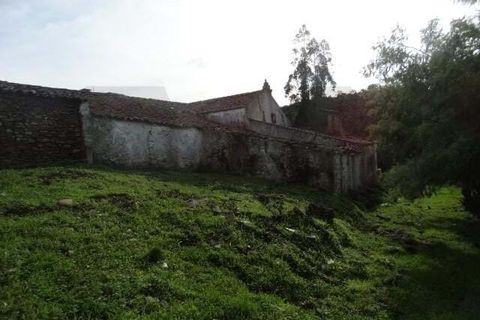 Helårsgrund i Ourique, Beja, Ourique - € 180.000 | Ref: KWPT-025459 - foto 15