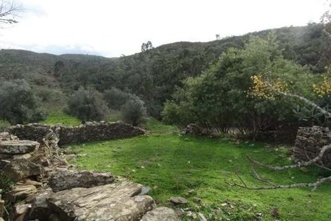 Helårsgrund i Ourique, Beja, Ourique - € 180.000 | Ref: KWPT-025459 - foto 20