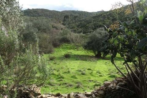 Helårsgrund i Ourique, Beja, Ourique - € 180.000 | Ref: KWPT-025459 - foto 17