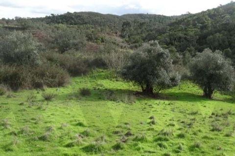 Helårsgrund i Ourique, Beja, Ourique - € 180.000 | Ref: KWPT-025459 - foto 16