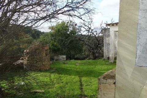 Helårsgrund i Ourique, Beja, Ourique - € 180.000 | Ref: KWPT-025459 - foto 6