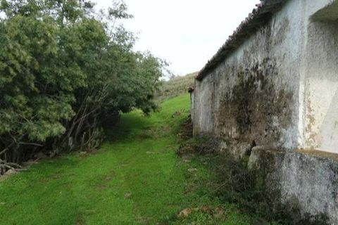 Helårsgrund i Ourique, Beja, Ourique - € 180.000 | Ref: KWPT-025459 - foto 12