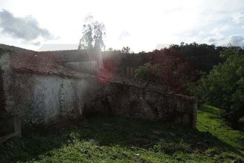Helårsgrund i Ourique, Beja, Ourique - € 180.000 | Ref: KWPT-025459 - foto 19