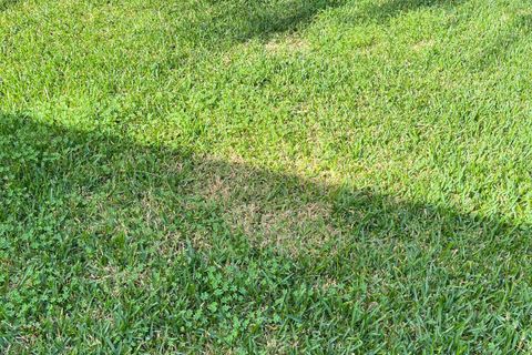 Villa a Siracusa, Siracusa, Siracusa - € 180.000 | Ref: IA4853 - foto 24