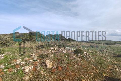 Helårsgrund i Sagres, Faro, Sagres - € 13.000 | Ref: CP-T2517 - foto 24