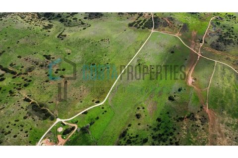 Helårsgrund i Sagres, Faro, Sagres - € 13.000 | Ref: CP-T2517 - foto 34