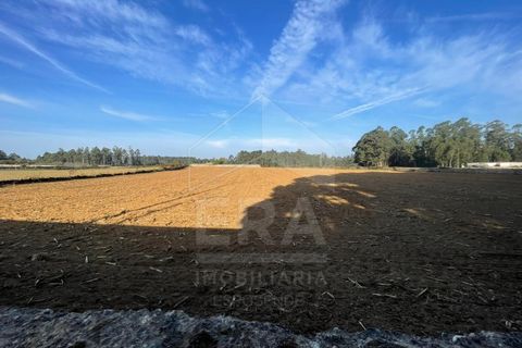 Helårsgrund i Terroso, Porto, Terroso - € 152.800 | Ref: 039250199 - foto 1