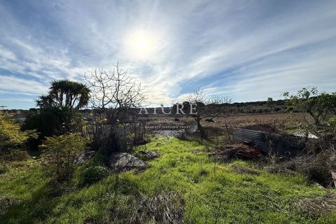 Farm hus i Evora, Evora, Evora - € 400.000 | Ref: 3432025-MC - foto 35