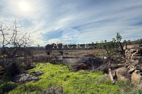 Farm hus i Evora, Evora, Evora - € 400.000 | Ref: 3432025-MC - foto 36