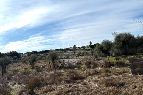 Farm hus i Evora, Evora, Evora - € 400.000 | Ref: 3432025-MC - foto 37