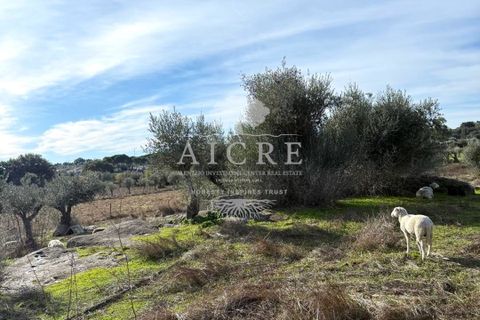 Farm hus i Evora, Evora, Evora - € 400.000 | Ref: 3432025-MC - foto 38
