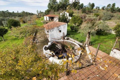 Villa i Mouriscas, Santarem, Mouriscas - € 185.000 | Ref: KWPT-025236 - foto 25