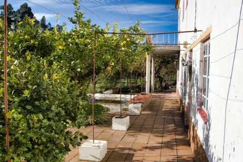 Villa i Mouriscas, Santarem, Mouriscas - € 185.000 | Ref: KWPT-025236 - foto 26