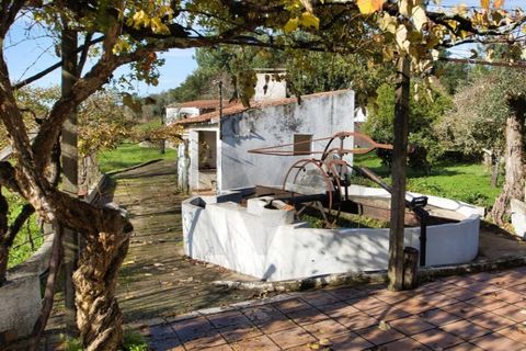 Villa i Mouriscas, Santarem, Mouriscas - € 185.000 | Ref: KWPT-025236 - foto 27