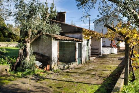 Villa i Mouriscas, Santarem, Mouriscas - € 185.000 | Ref: KWPT-025236 - foto 31