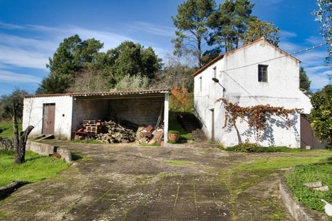 Villa i Mouriscas, Santarem, Mouriscas - € 185.000 | Ref: KWPT-025236 - foto 32