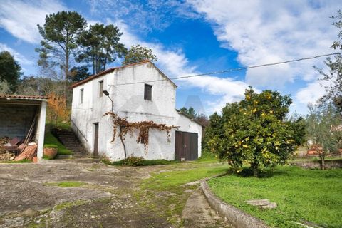 Villa i Mouriscas, Santarem, Mouriscas - € 185.000 | Ref: KWPT-025236 - foto 35