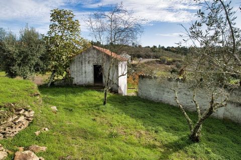 Villa i Mouriscas, Santarem, Mouriscas - € 185.000 | Ref: KWPT-025236 - foto 37