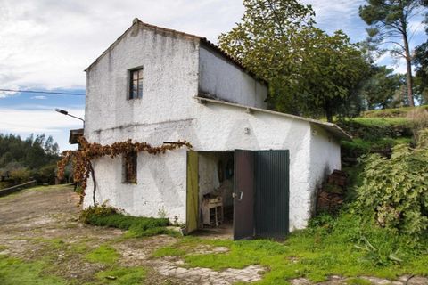 Villa i Mouriscas, Santarem, Mouriscas - € 185.000 | Ref: KWPT-025236 - foto 39