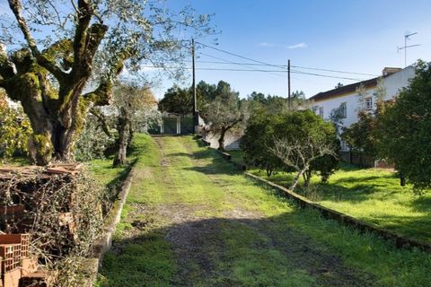Villa i Mouriscas, Santarem, Mouriscas - € 185.000 | Ref: KWPT-025236 - foto 41