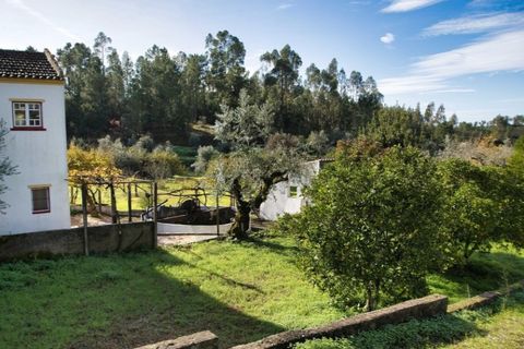 Villa i Mouriscas, Santarem, Mouriscas - € 185.000 | Ref: KWPT-025236 - foto 42