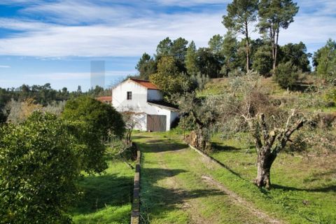 Villa i Mouriscas, Santarem, Mouriscas - € 185.000 | Ref: KWPT-025236 - foto 43