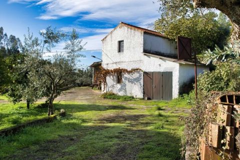 Villa i Mouriscas, Santarem, Mouriscas - € 185.000 | Ref: KWPT-025236 - foto 44