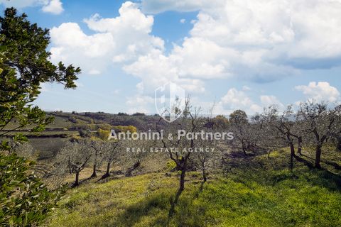 Villa a Ficulle, Terni, Ficulle - € 690.000 | Ref: 70426 - foto 40